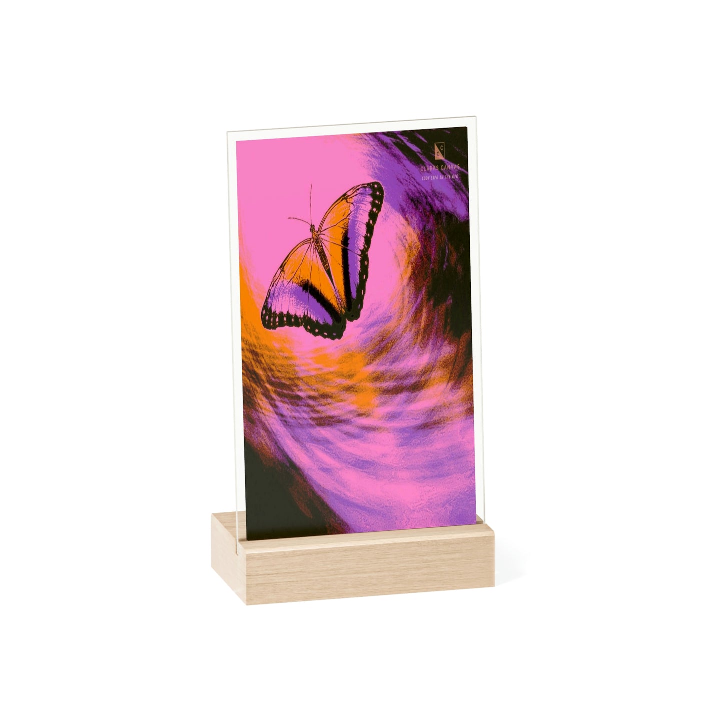 Space Butterfly - Acrylic Sign w/Wooden Stand (NBA P.S. Inspired)