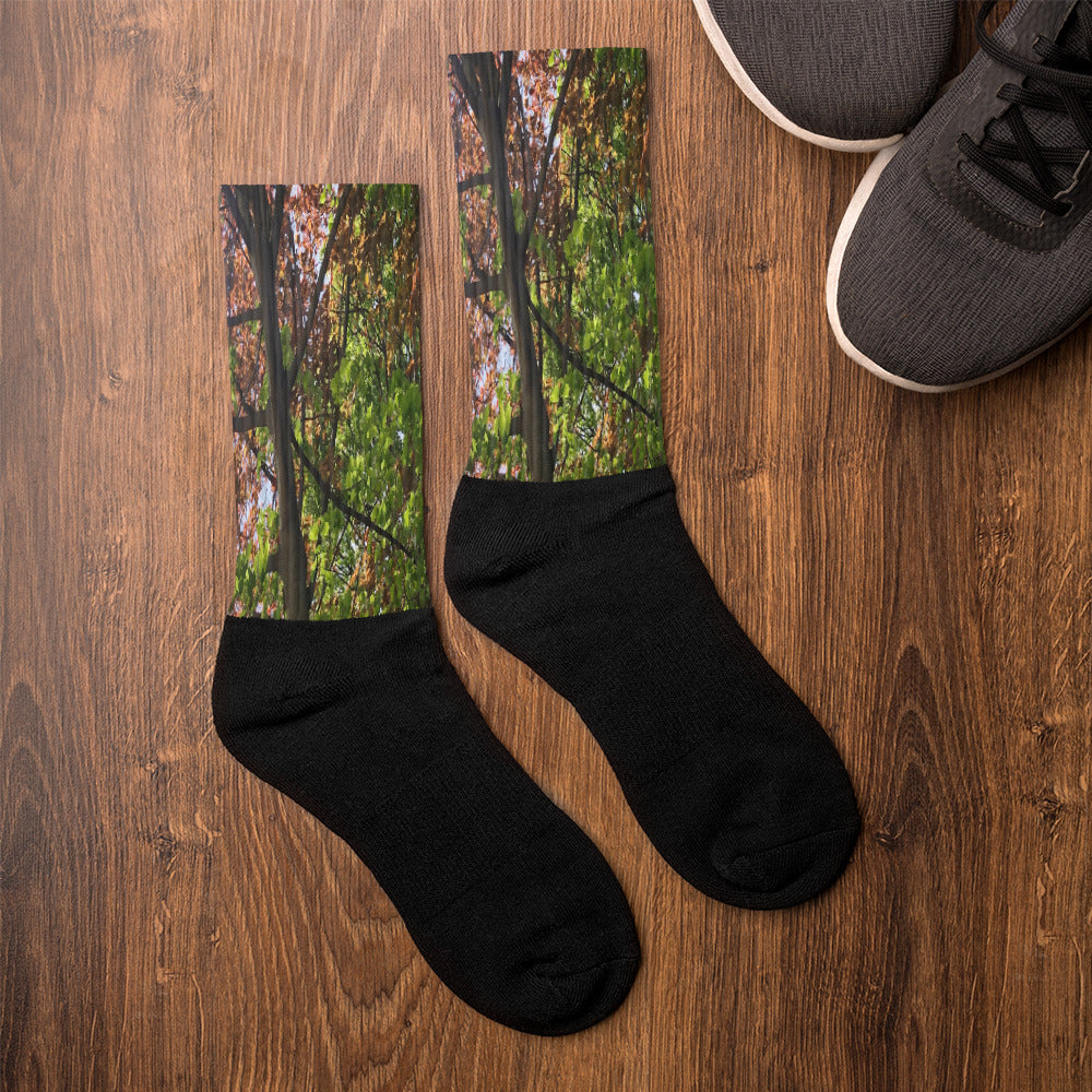 “Summer Perspective” (April 2021) - Socks